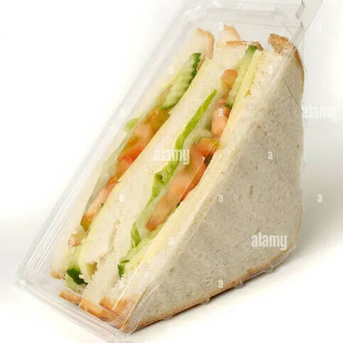 Cheese Salad Sandwich