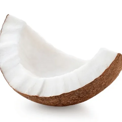 Coconut Slices