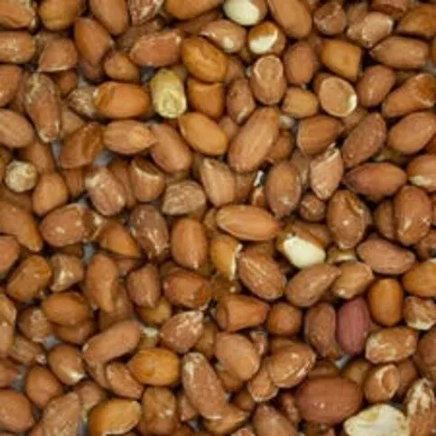 Ho Jay Wild Bird Peanuts